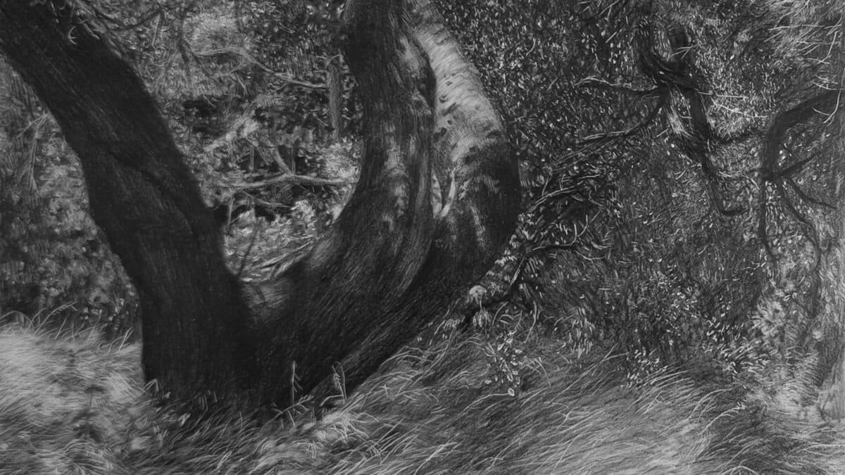 Jessica Taylor Bellamy - Image 2