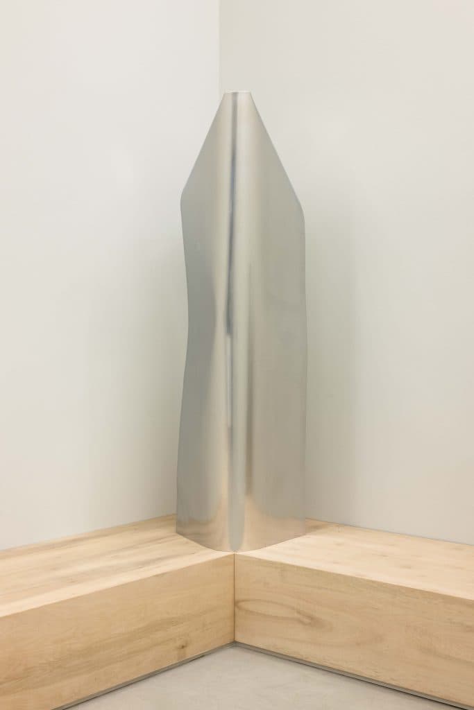 Back Facing Front - Image 3