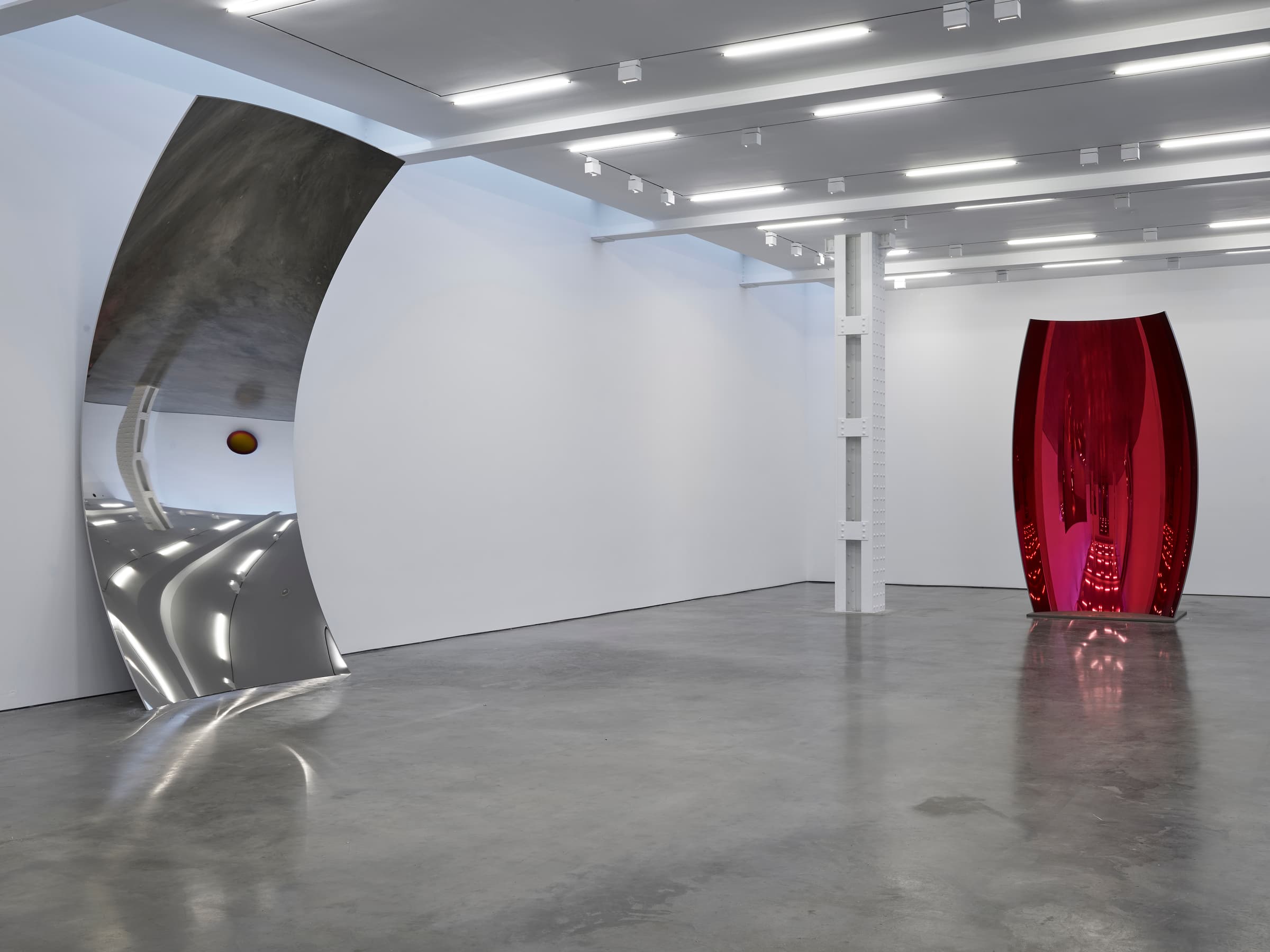 Anish Kapoor