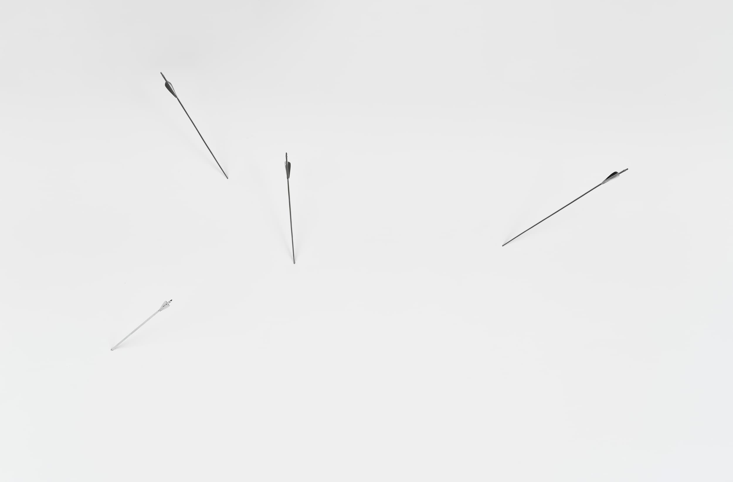 Swallow the Moon - Image 4