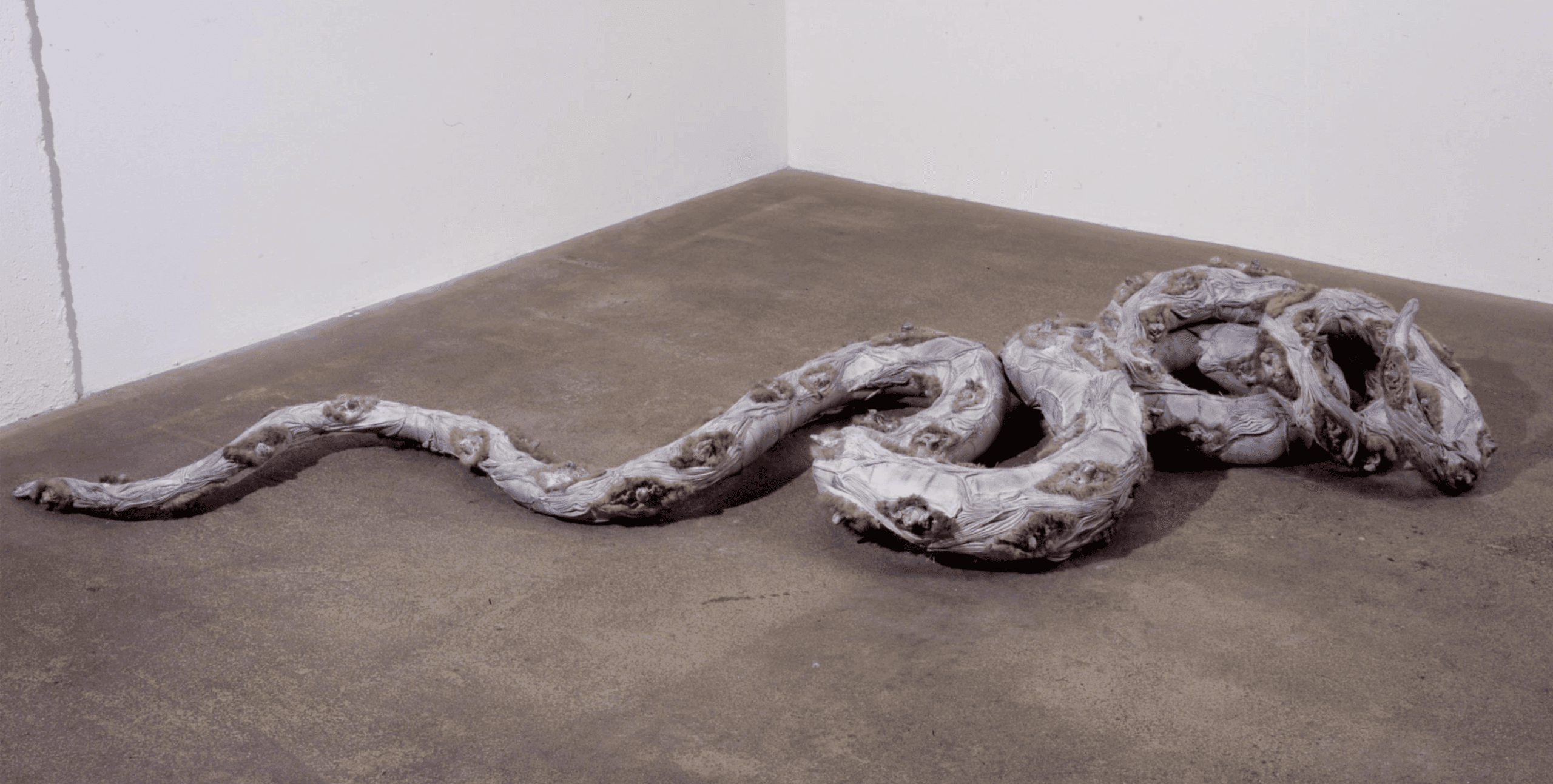 Studio Wounds and Battles: Desire is the Reiteration of Hope