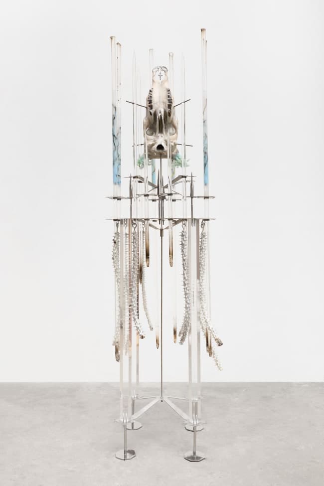 Affirmation Room - Image 4