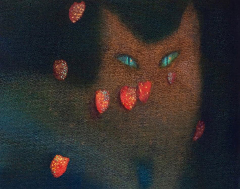 Expanded Fields - Image 4