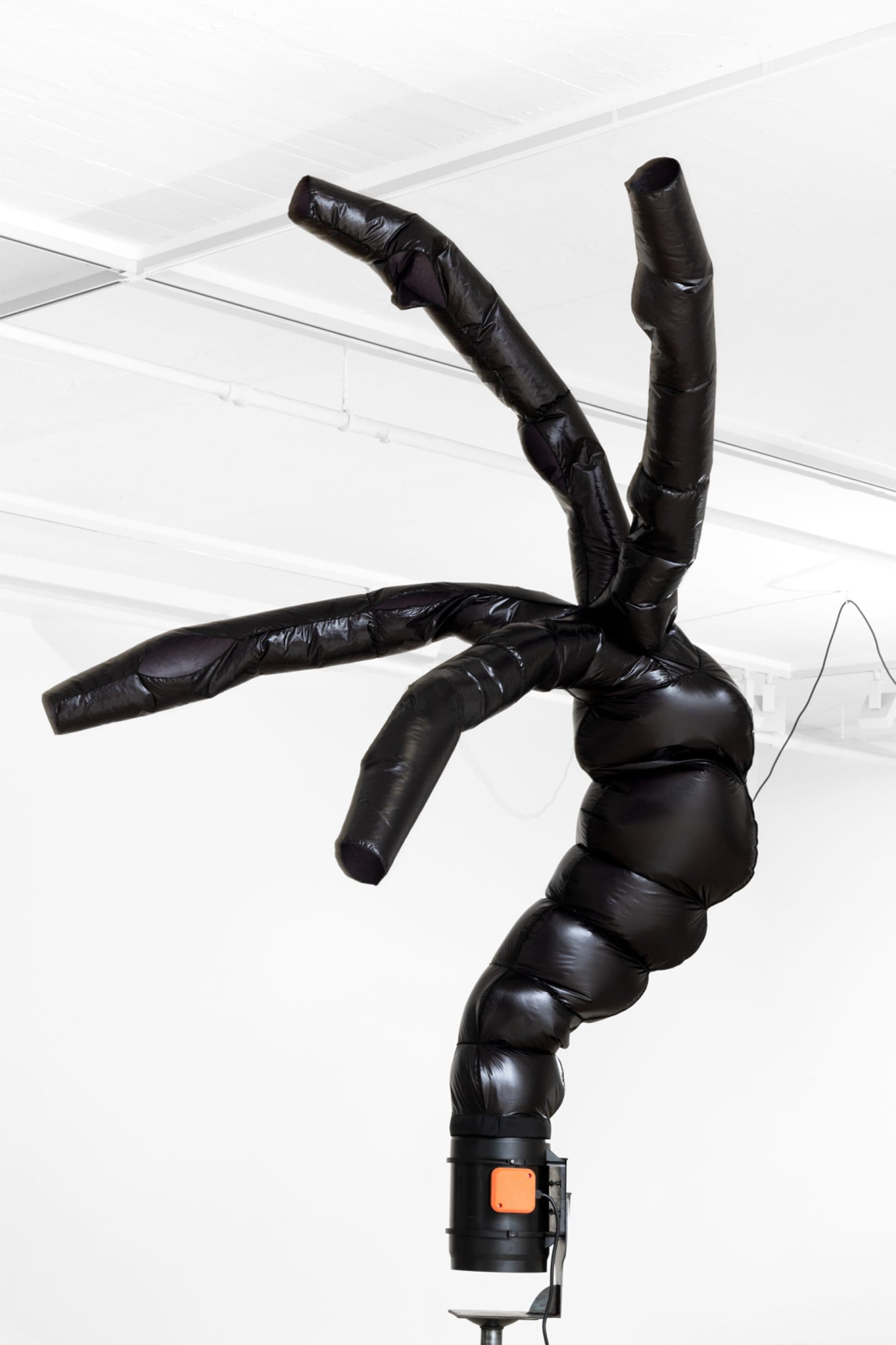 Automa Mon Amour - Image 4