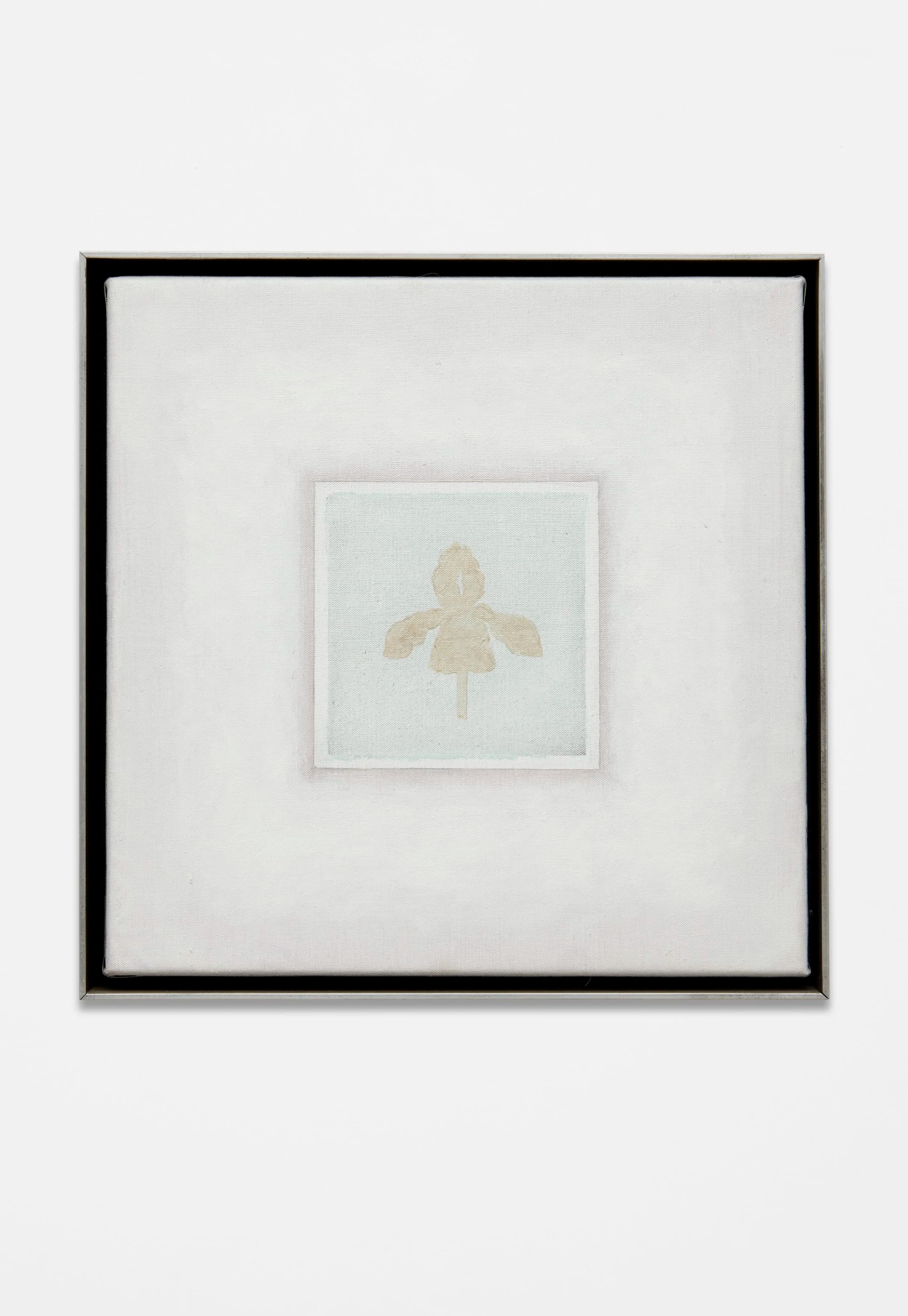 Forty Years of This... - Image 3