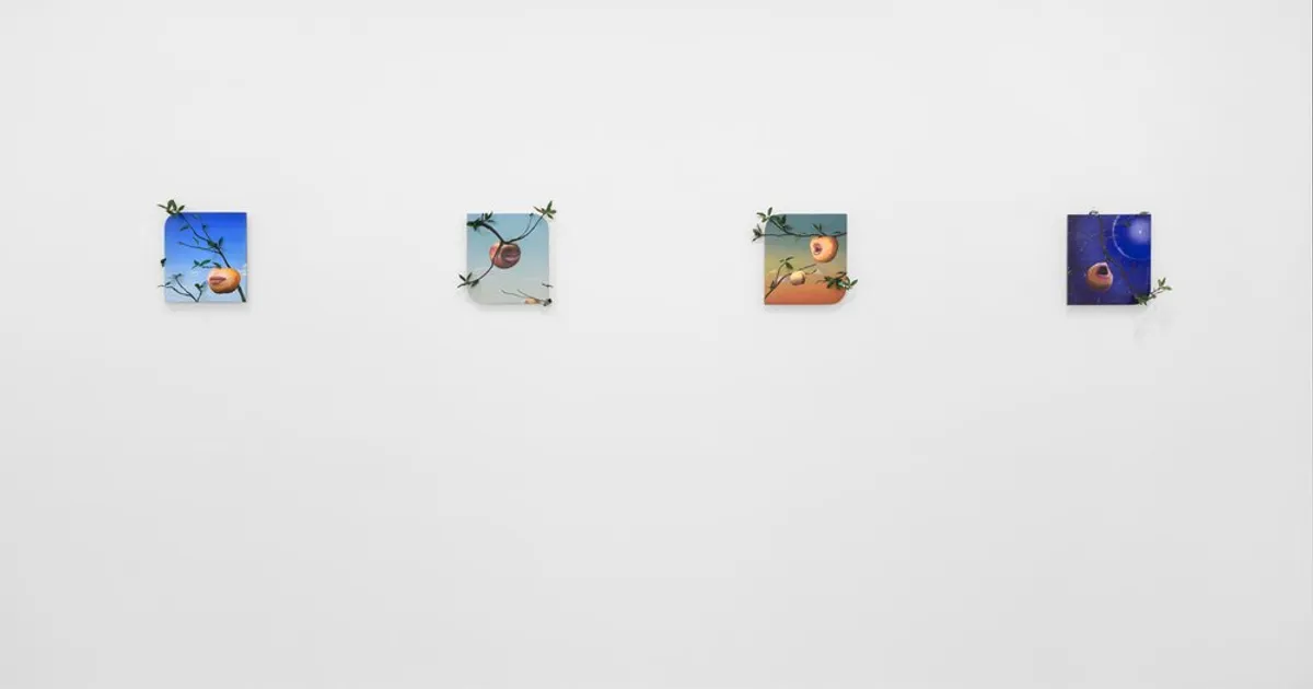 Miguel Angel Payano Jr.