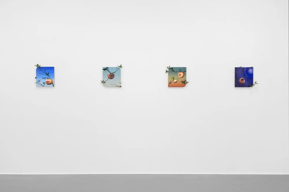 Miguel Angel Payano Jr. - Image 2