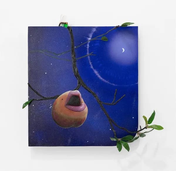 Miguel Angel Payano Jr. - Image 4