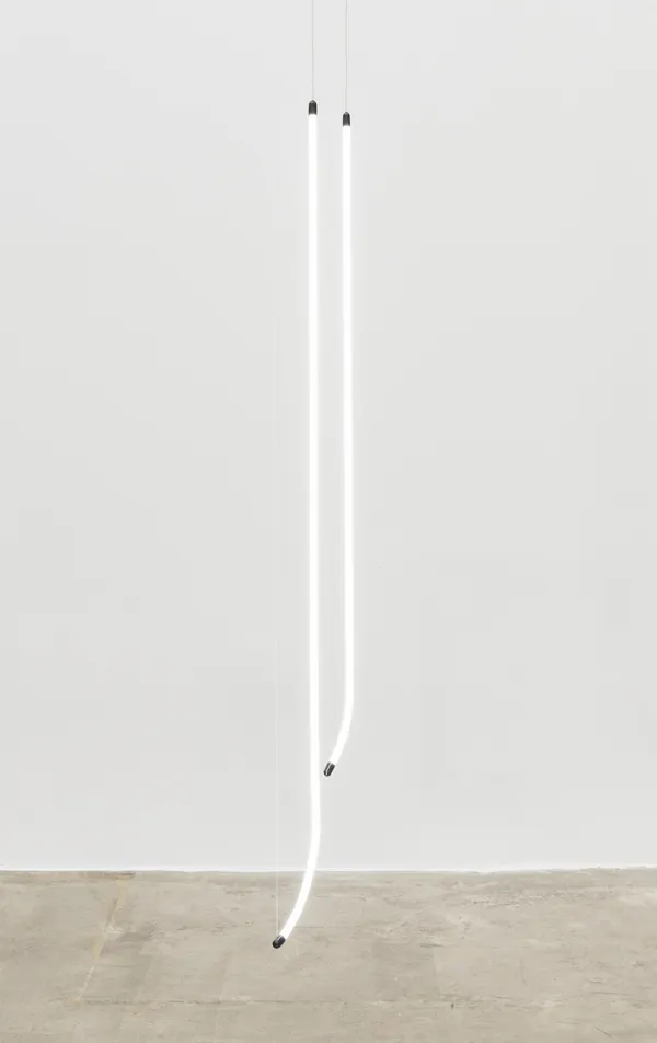 THE EARTH IS FLAT - Image 4