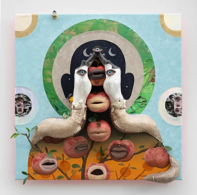 Palate Pivots - Image 4