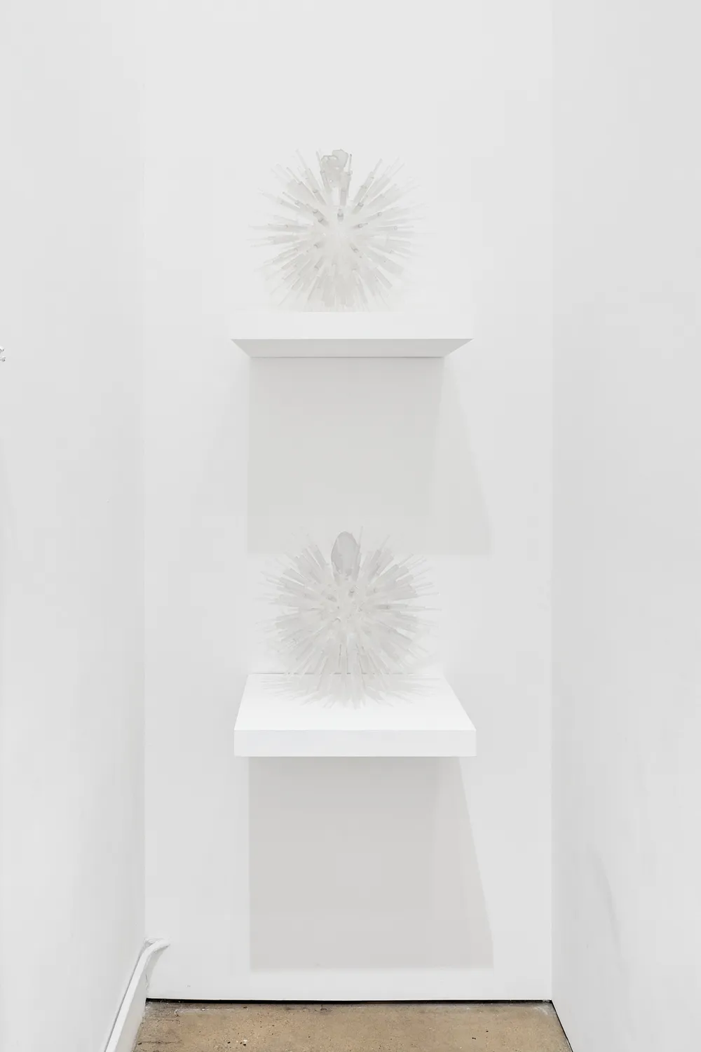 Assotto:ottossA - Image 4