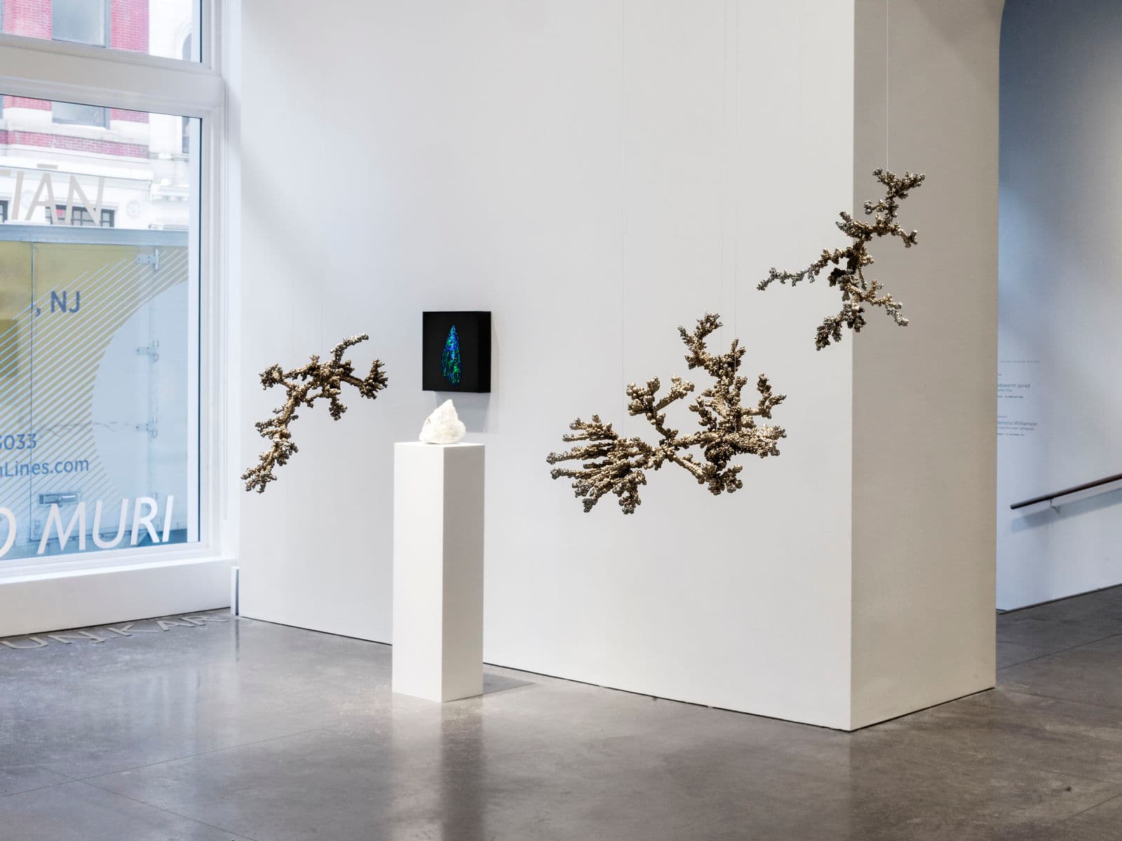 Trial of the Finger - Image 4